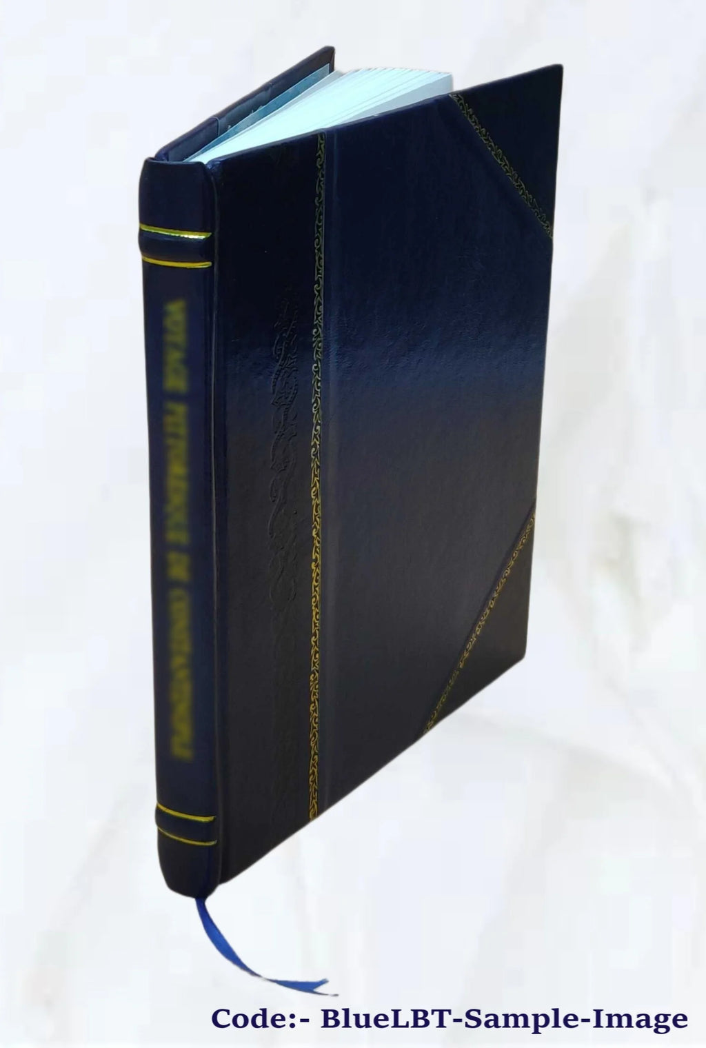 Leather Bound Book P4668