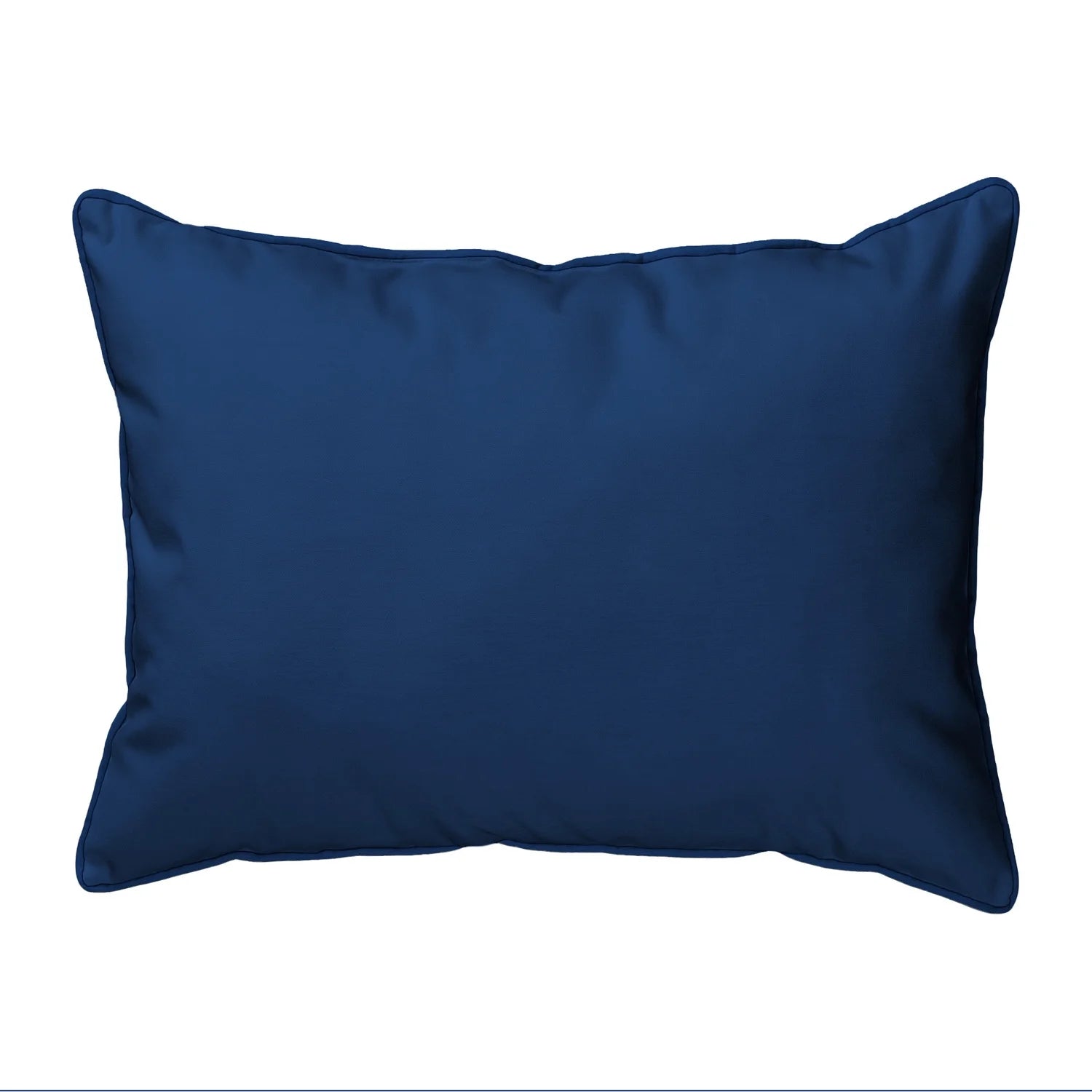 Blue Heron Indoor & Outdoor Pillow C624288
