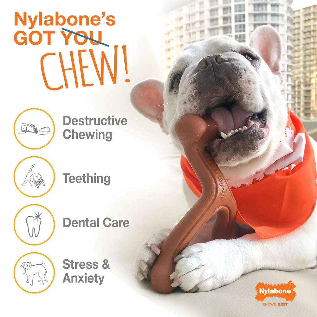Chicken Flavored Durable Chew Toy for Dogs X-Large (1 Count) M1319
