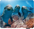 Cute Dolphins Non-Slip Rubber Mouse Pad 9.5 Inch x 7.9 Inch E107941