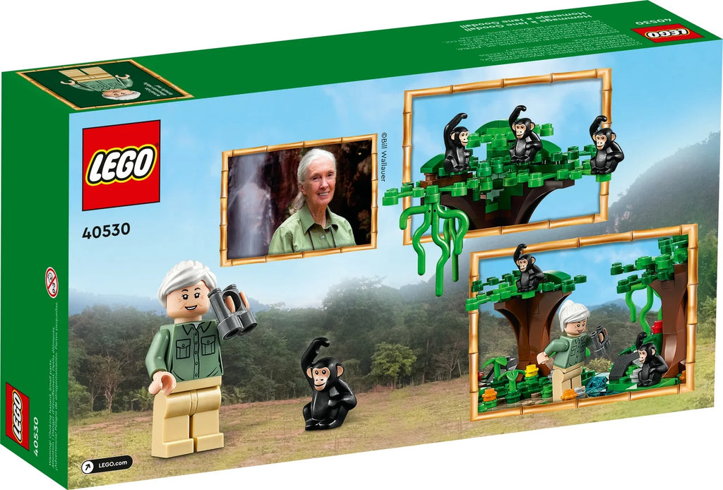 LEGO Tribute 40530 O21766