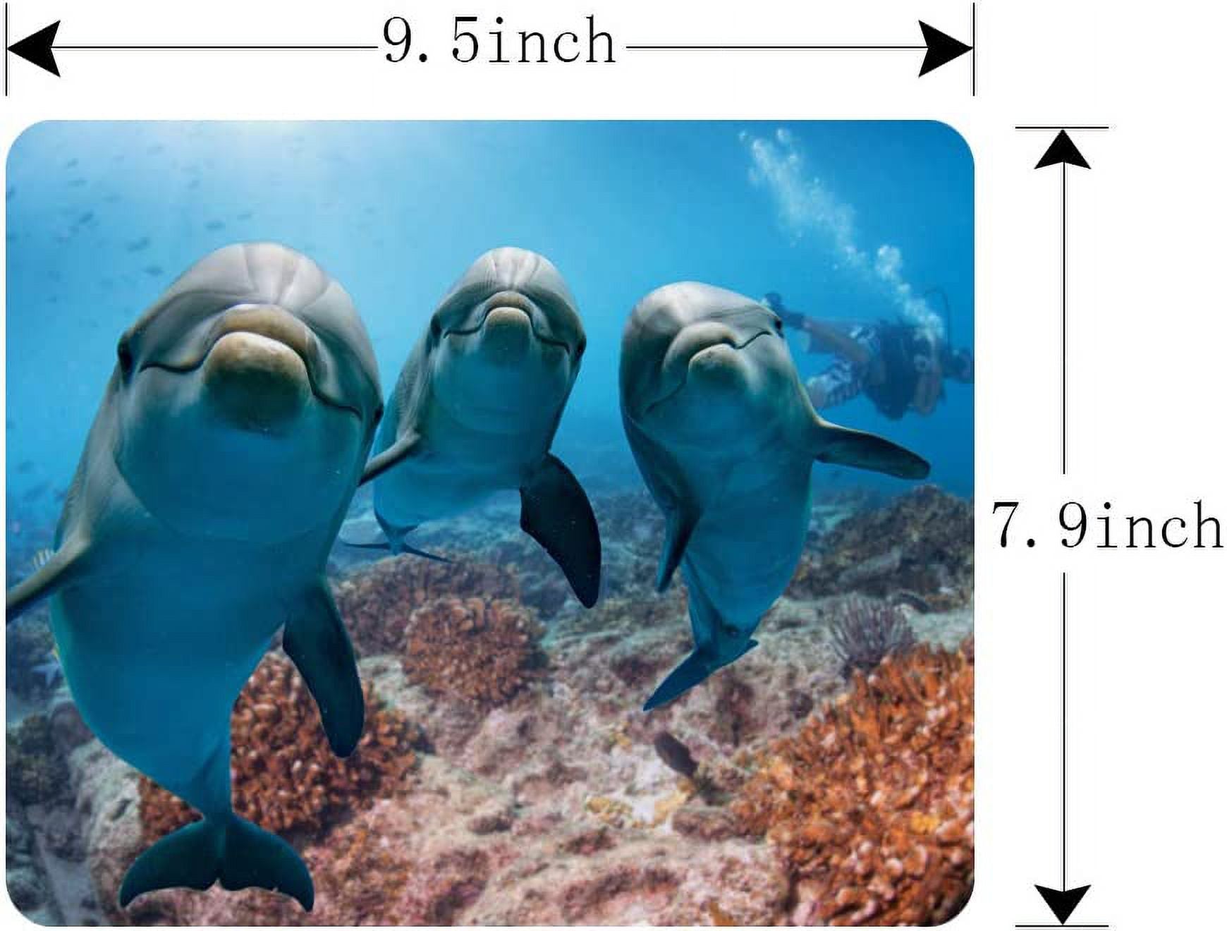 Cute Dolphins Non-Slip Rubber Mouse Pad 9.5 Inch x 7.9 Inch E107941