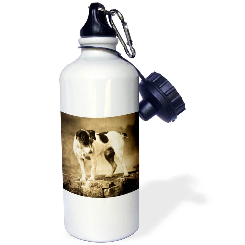 21 oz Sports Water Bottle Y7778