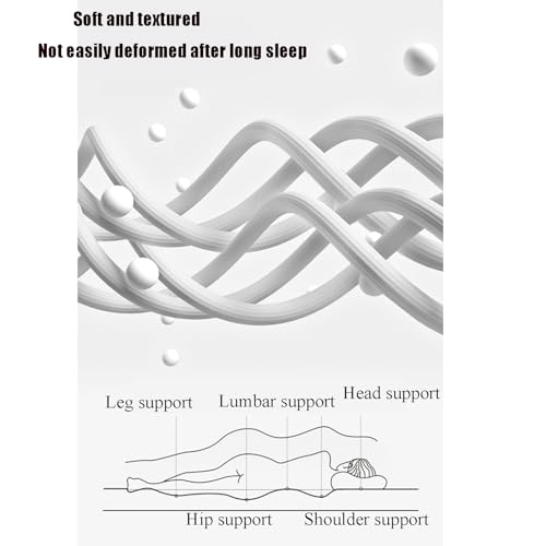 White King Foldable Floor Mattress J709974