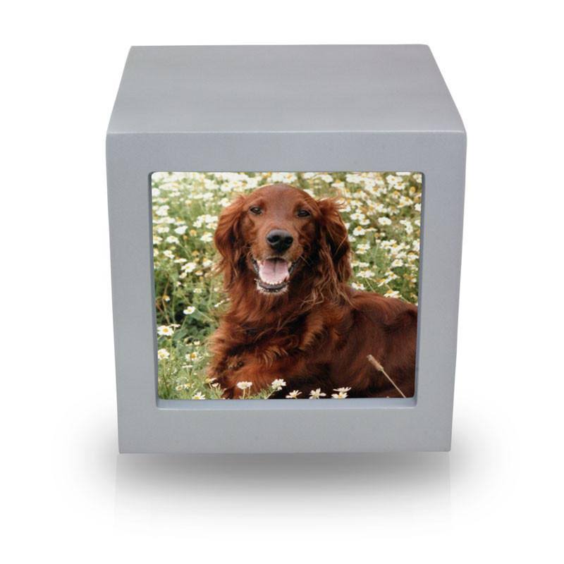 Medium Wood Memorial Urn with Silver Photo Frame H227