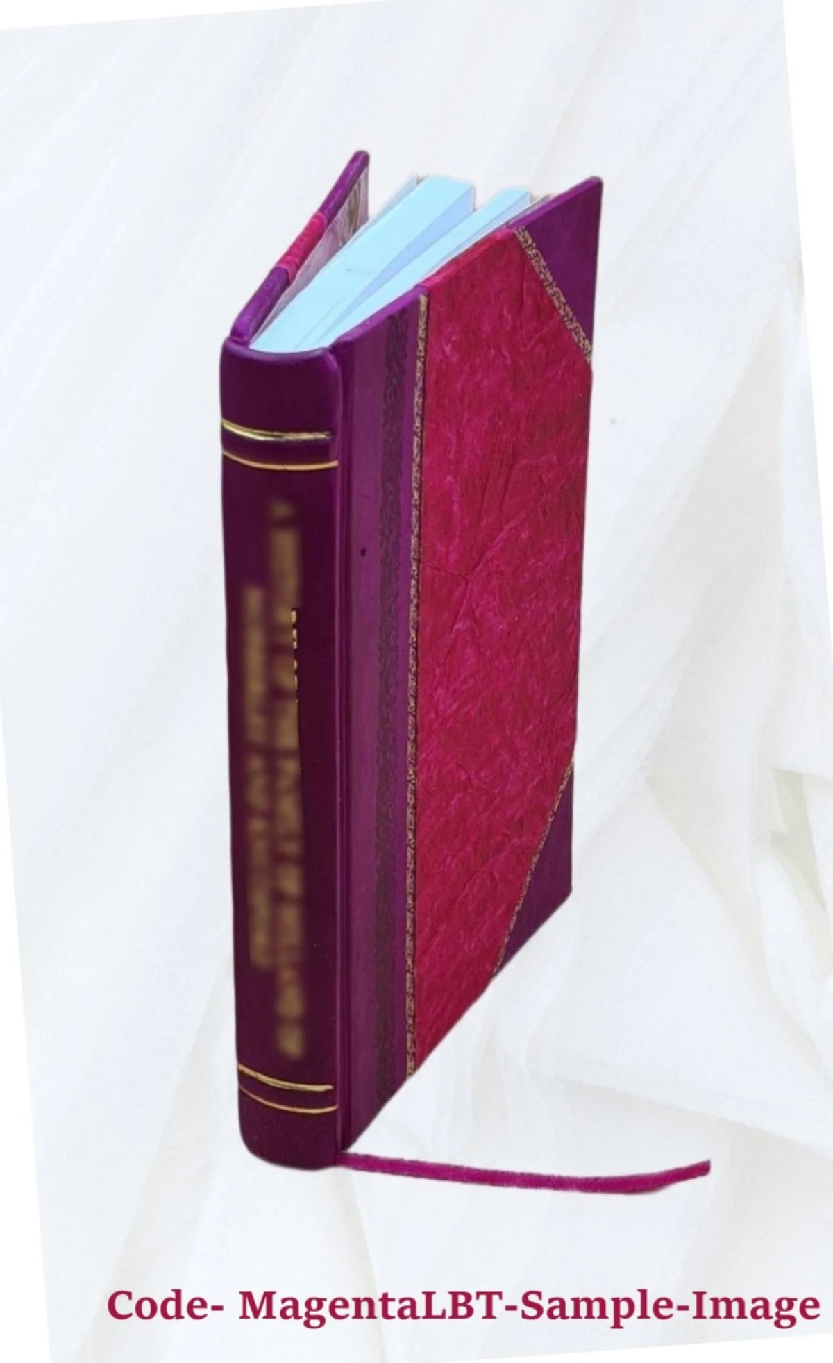 Leather Bound Book P4668