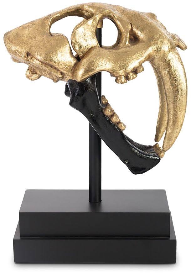 Saber Tooth Tiger Skull, Black, Gold Leaf I4635