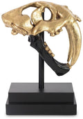 Saber Tooth Tiger Skull, Black, Gold Leaf I4635