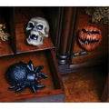 Hidden Screamer Halloween Decor Assortment - Pack of 12 O710