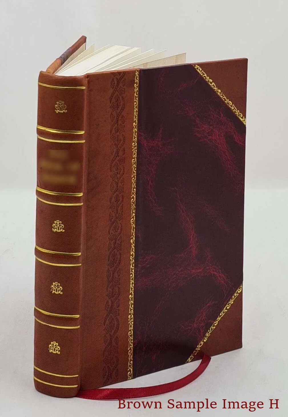 zanzibar the island metropolis of eastern africa 1920 Leather Bound Z473
