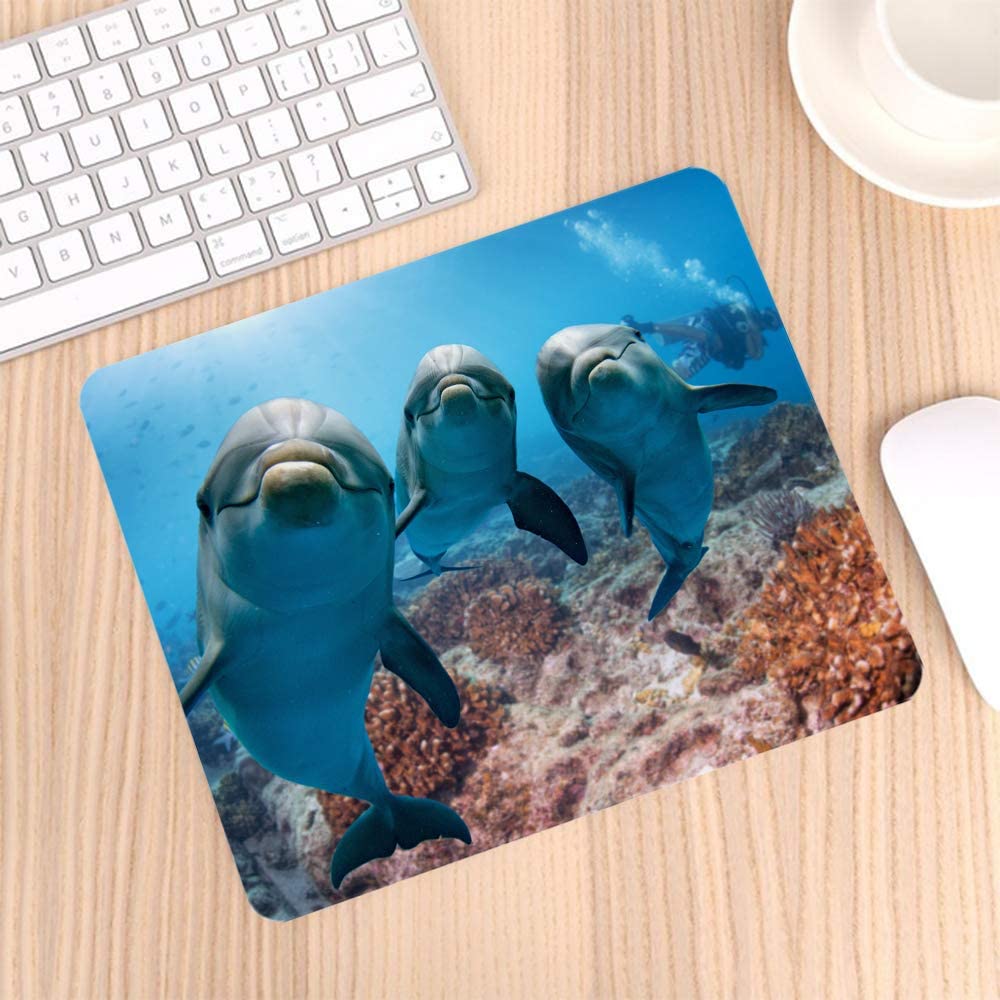 Cute Dolphins Non-Slip Rubber Mouse Pad 9.5 Inch x 7.9 Inch E107941