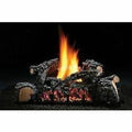 Vent-Free Log Set F2092