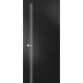 Matte Black French Door with Frosted Glass S860718