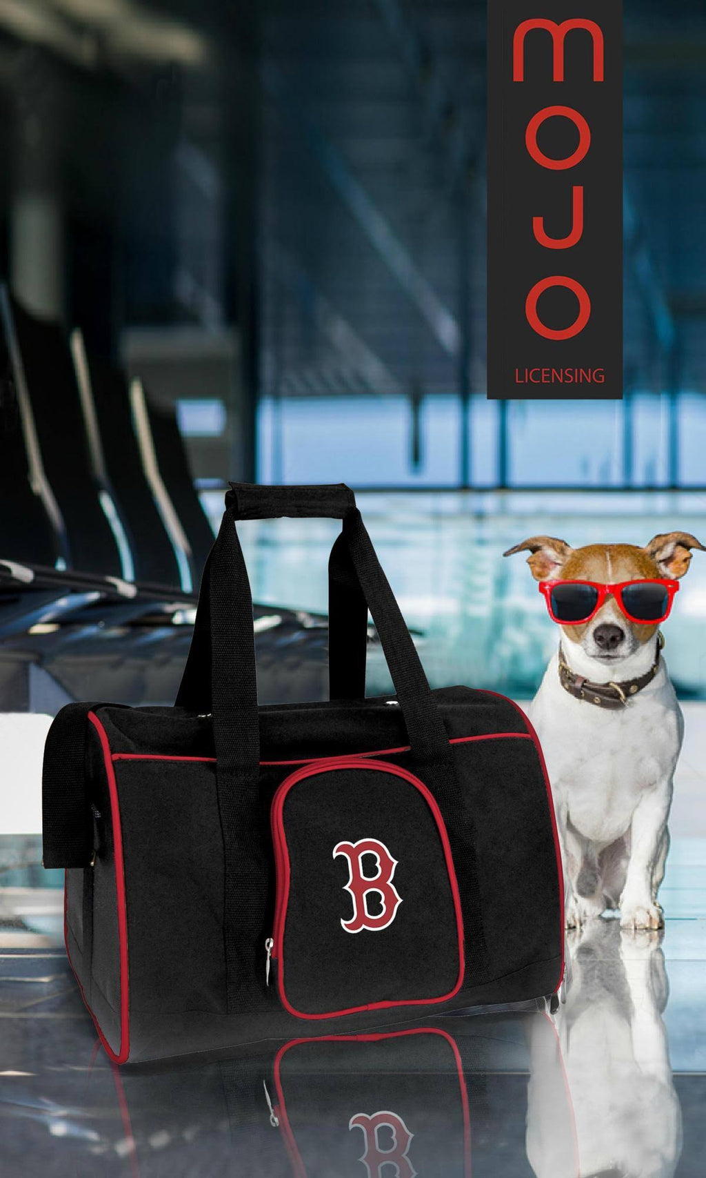 Premium Pet Carrier L223390