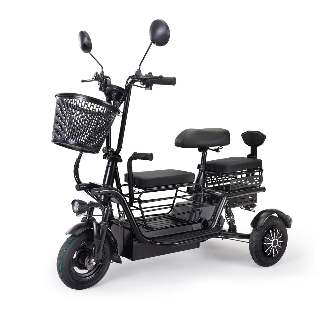 Black Folding Electric Tricycle with 48V 400W Lithium Battery E6976