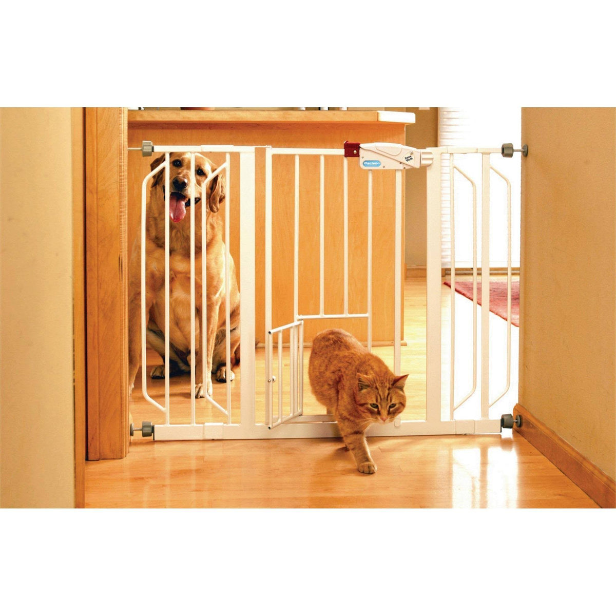 Pet Gate with Pet Door C6497