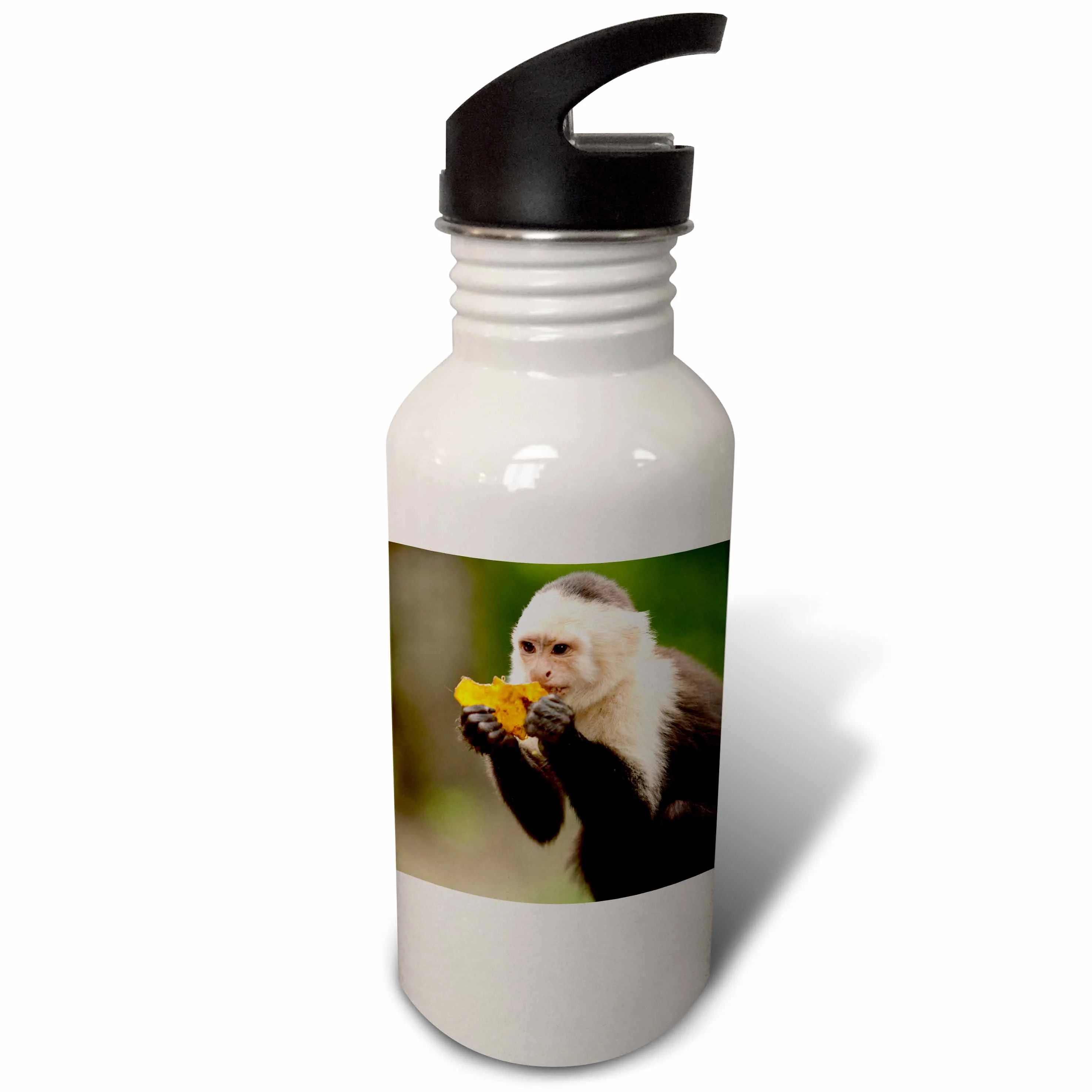 Sports Water Bottle E1091