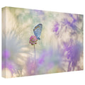 Canvas Art in Tan/White/Purple W254