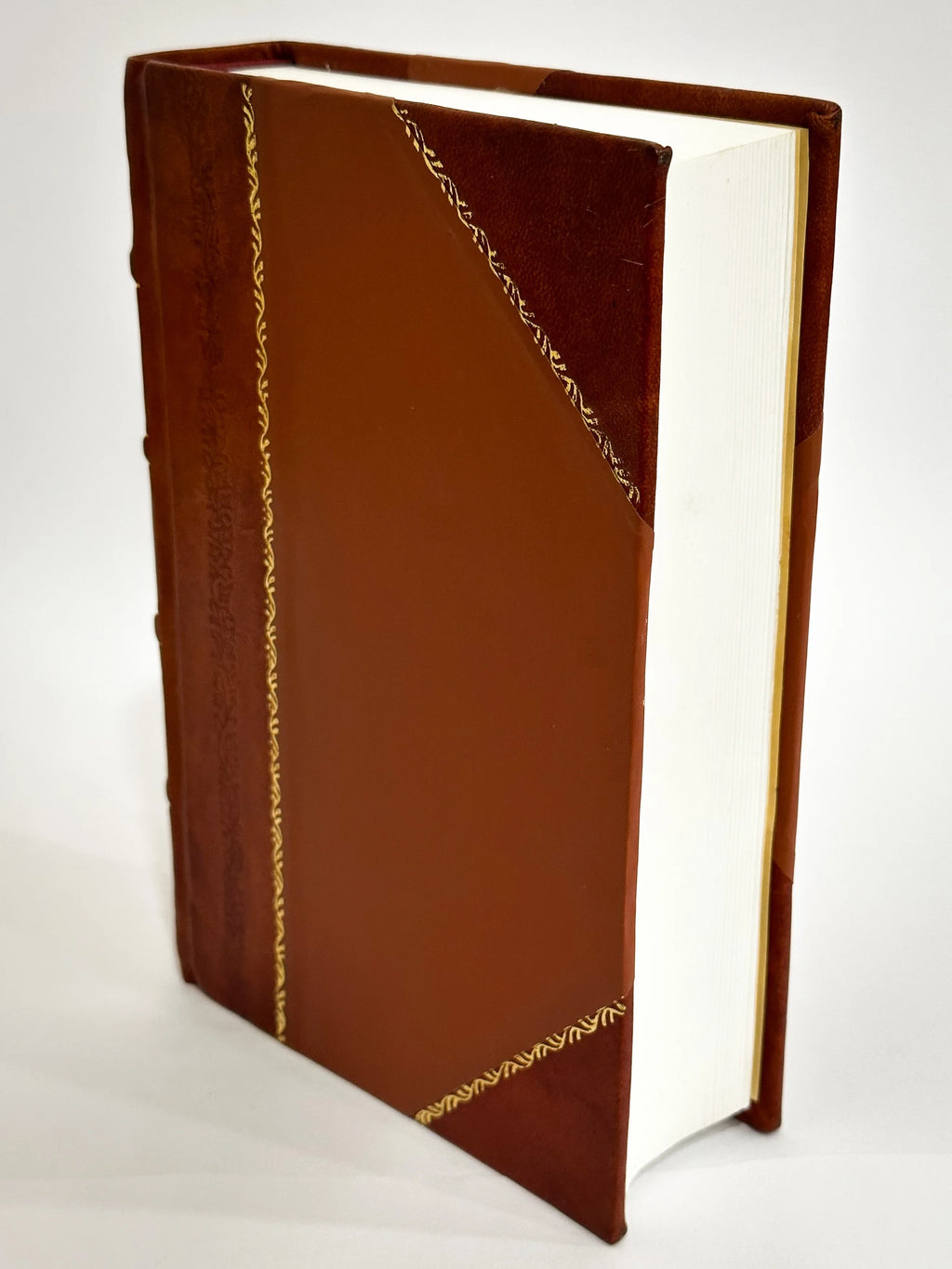 Critical Essays [Leather Bound] G671