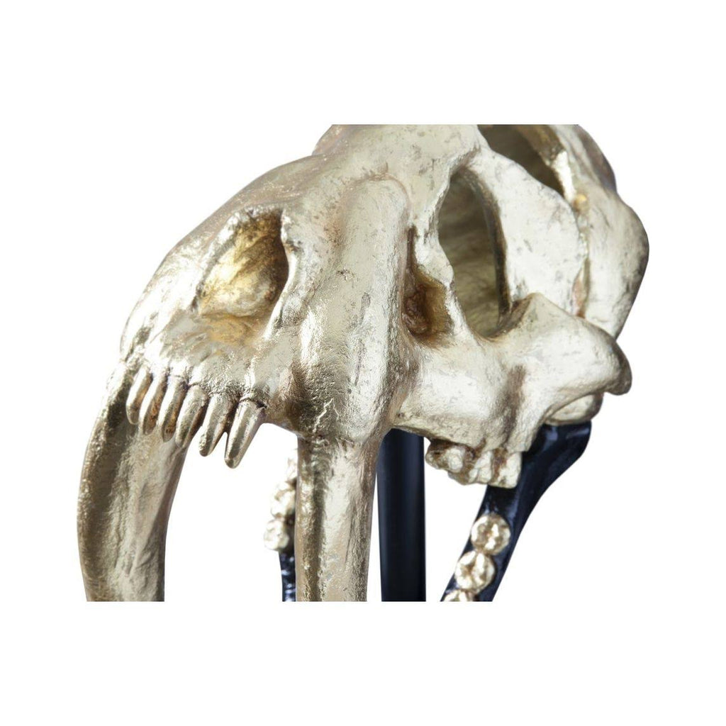 Saber Tooth Tiger Skull, Black, Gold Leaf I4635