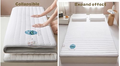 White King Foldable Floor Mattress J709974