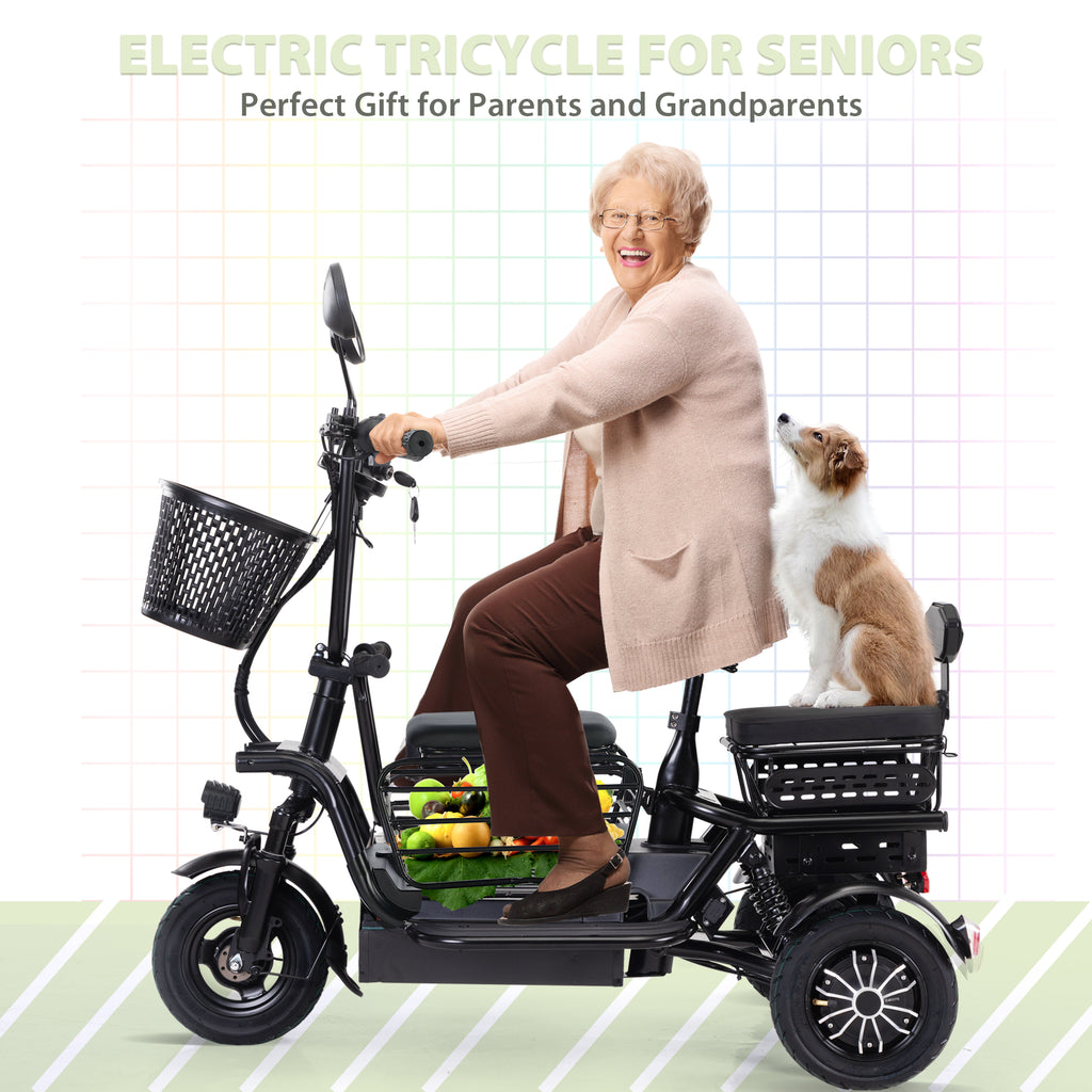 Black Folding Electric Tricycle with 48V 400W Lithium Battery E6976