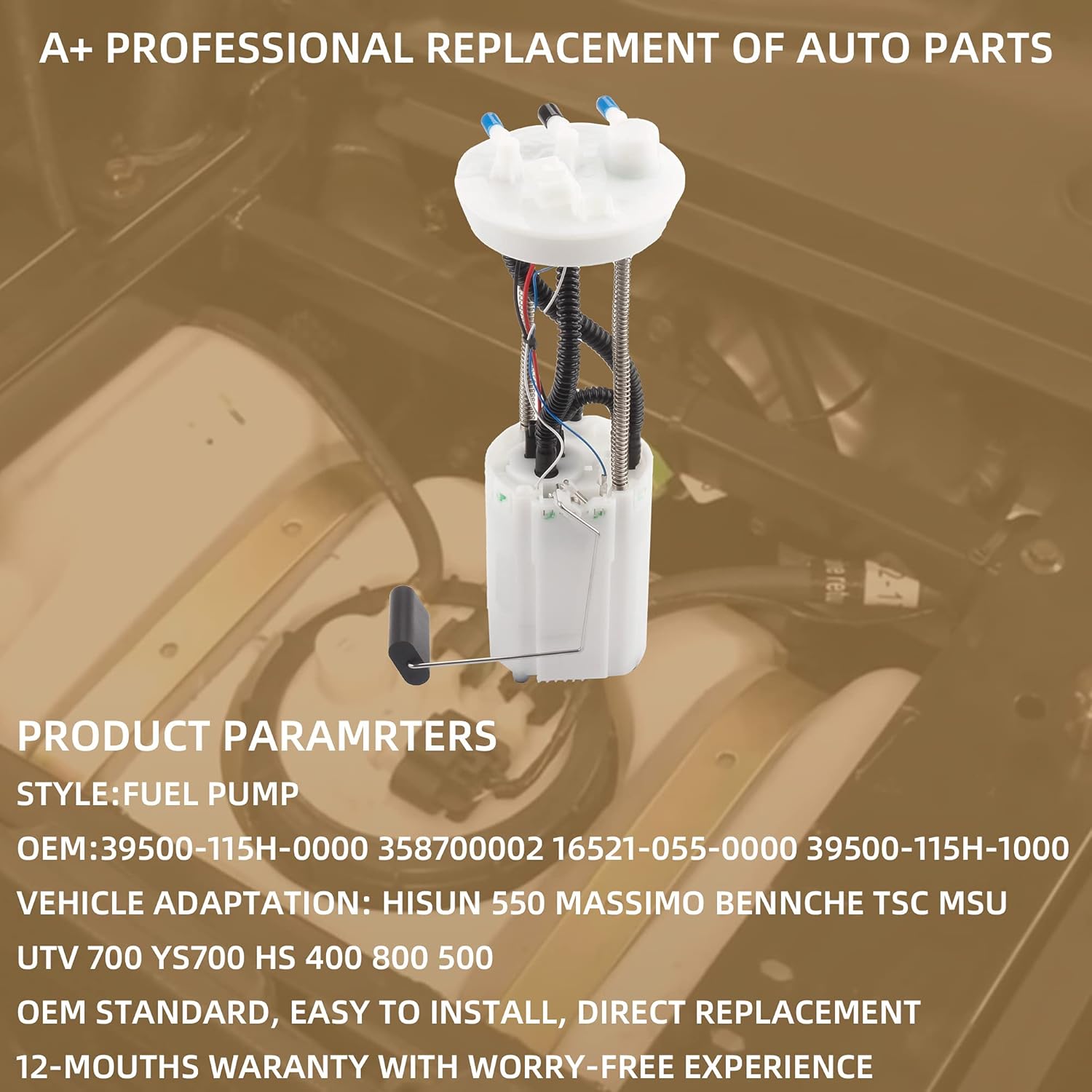 Fuel Pump Assembly Pack of 2 S636