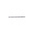 2 inch Hot Dipped Galvanized Siding Nails F923969