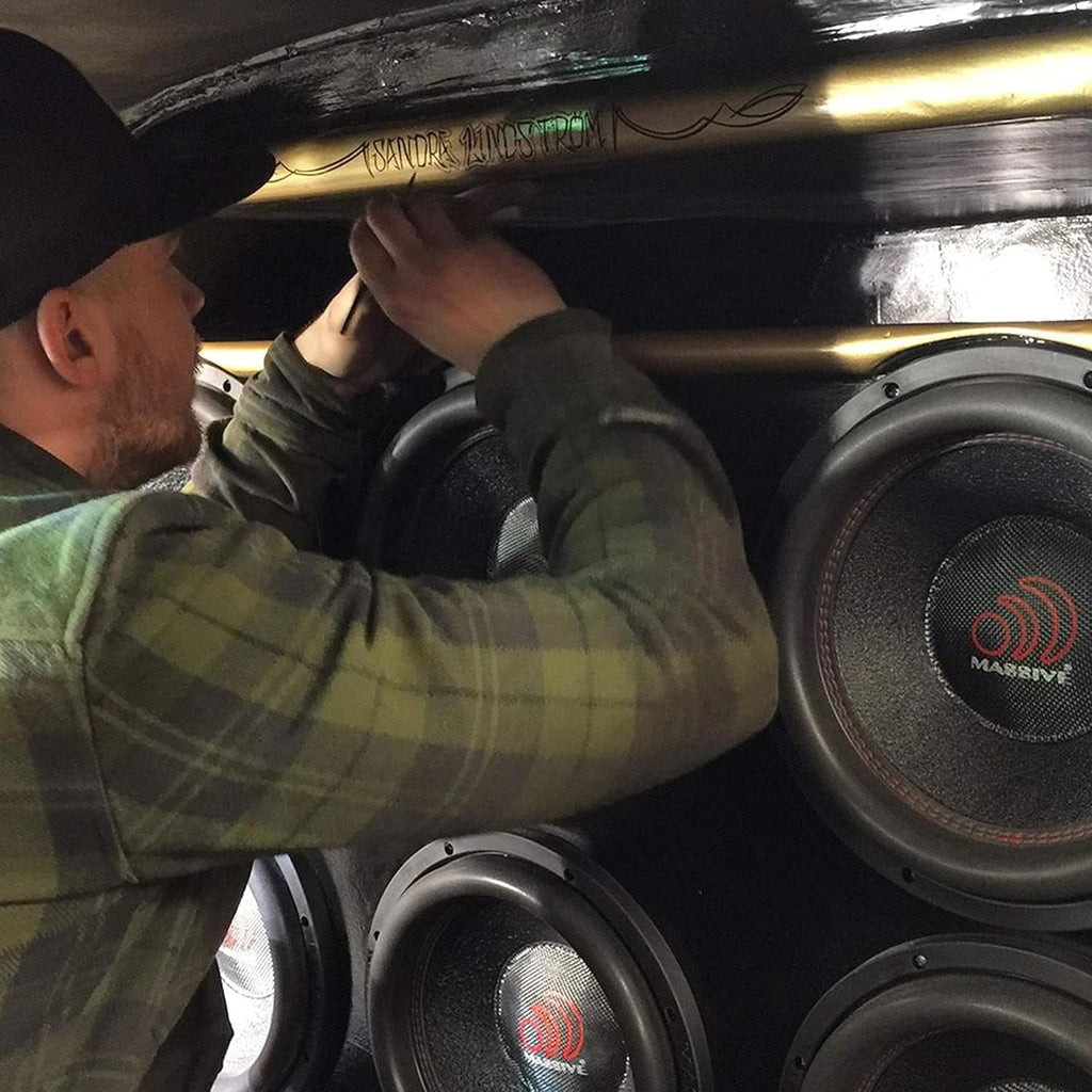 12 Inch Car Audio Subwoofer, 700 Watt RMS, Dual 2 Ohm A3796