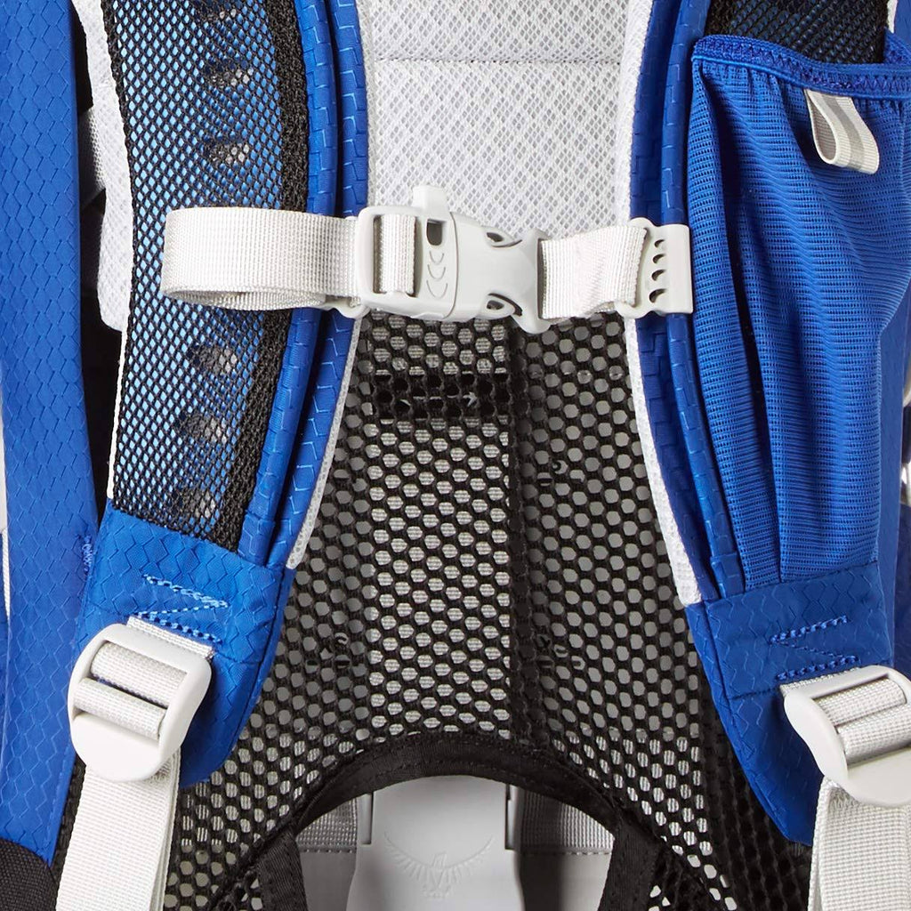 Blue Sky Child Carrier G656