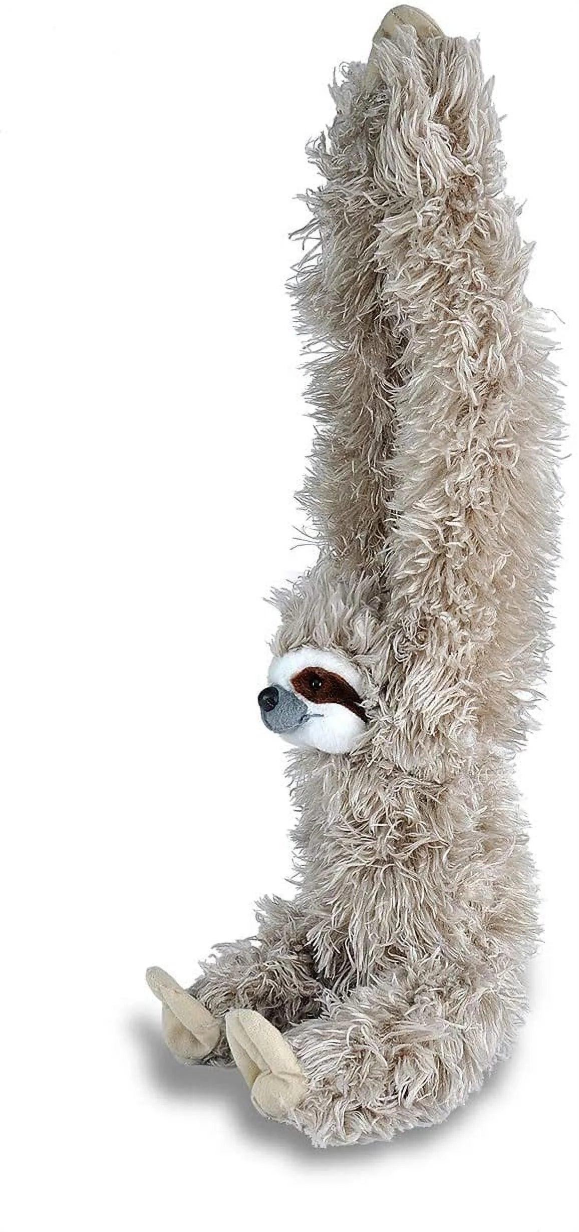Hanging Three Toed Sloth Plush, 30 inches C93977