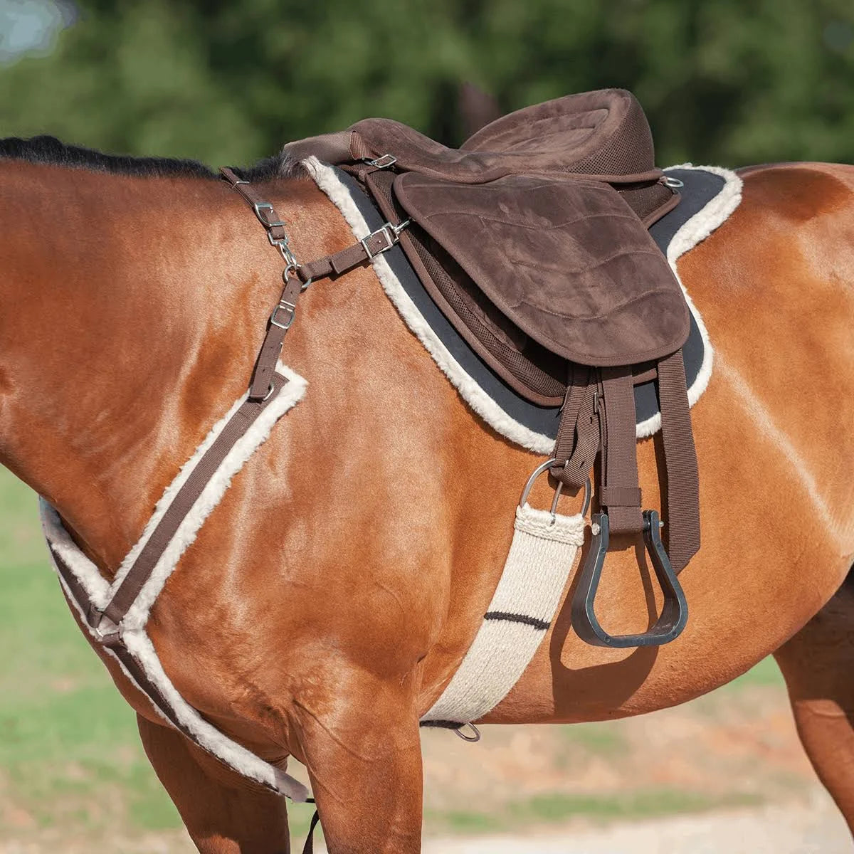 Cashel Brown Soft Saddle G2 W8306