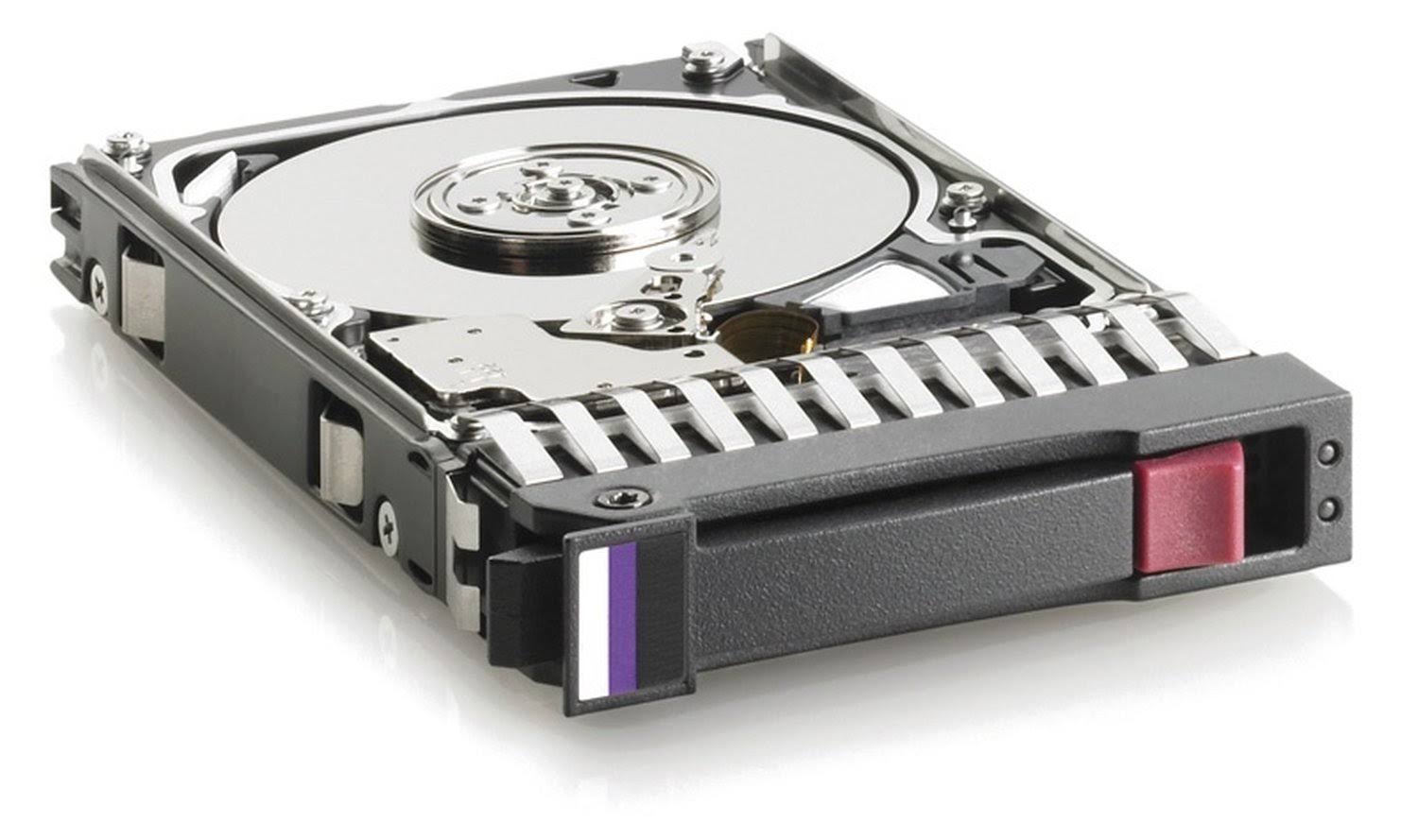 300GB 2.5x22 Internal Hard Drive SAS B97655
