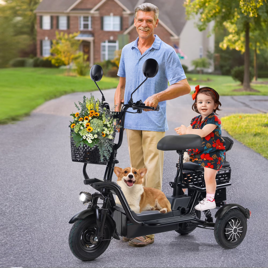 Black Folding Electric Tricycle with 48V 400W Lithium Battery E6976