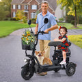 Black Folding Electric Tricycle with 48V 400W Lithium Battery E6976