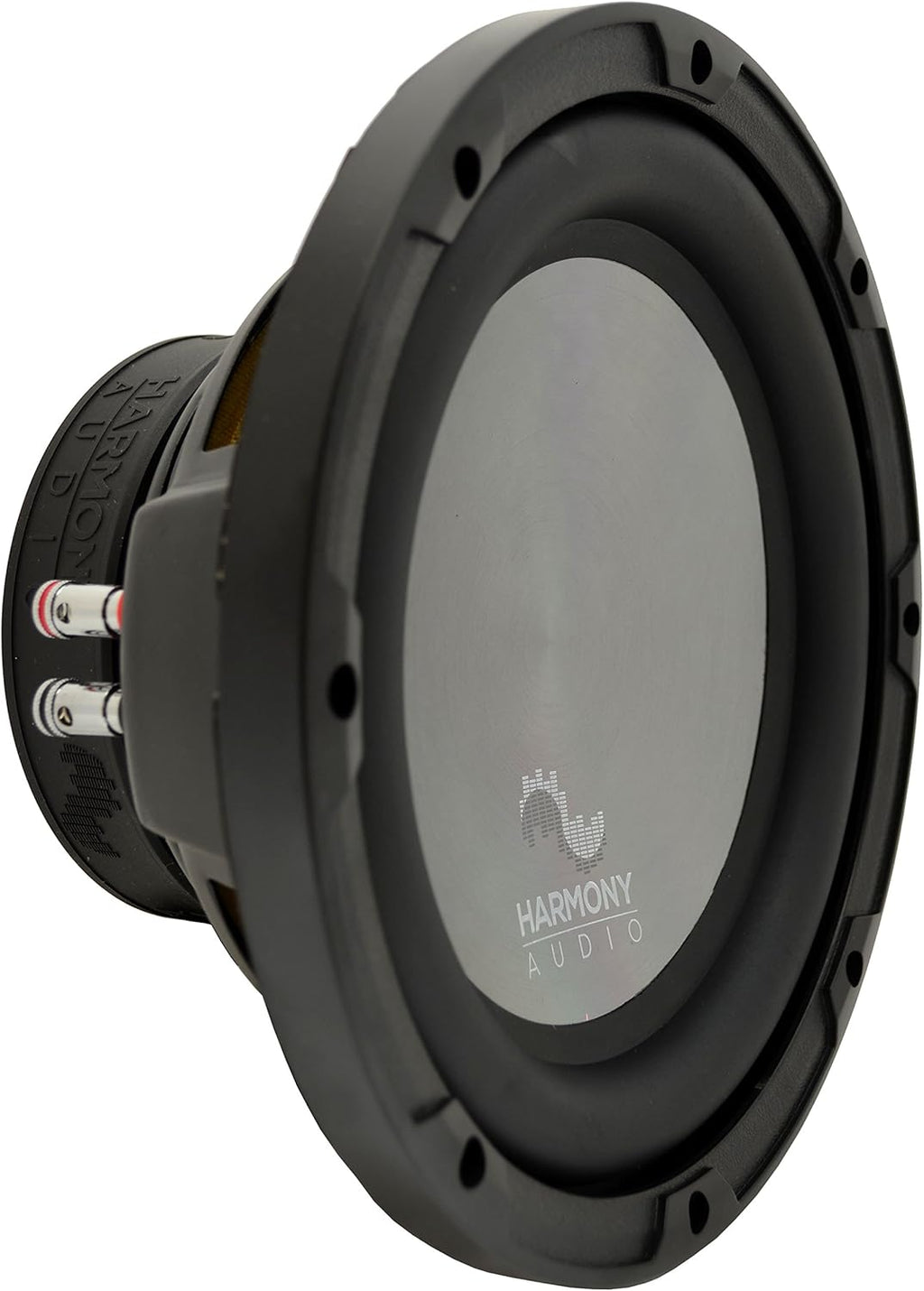 Dual 10 Sub Box Enclosure Z555