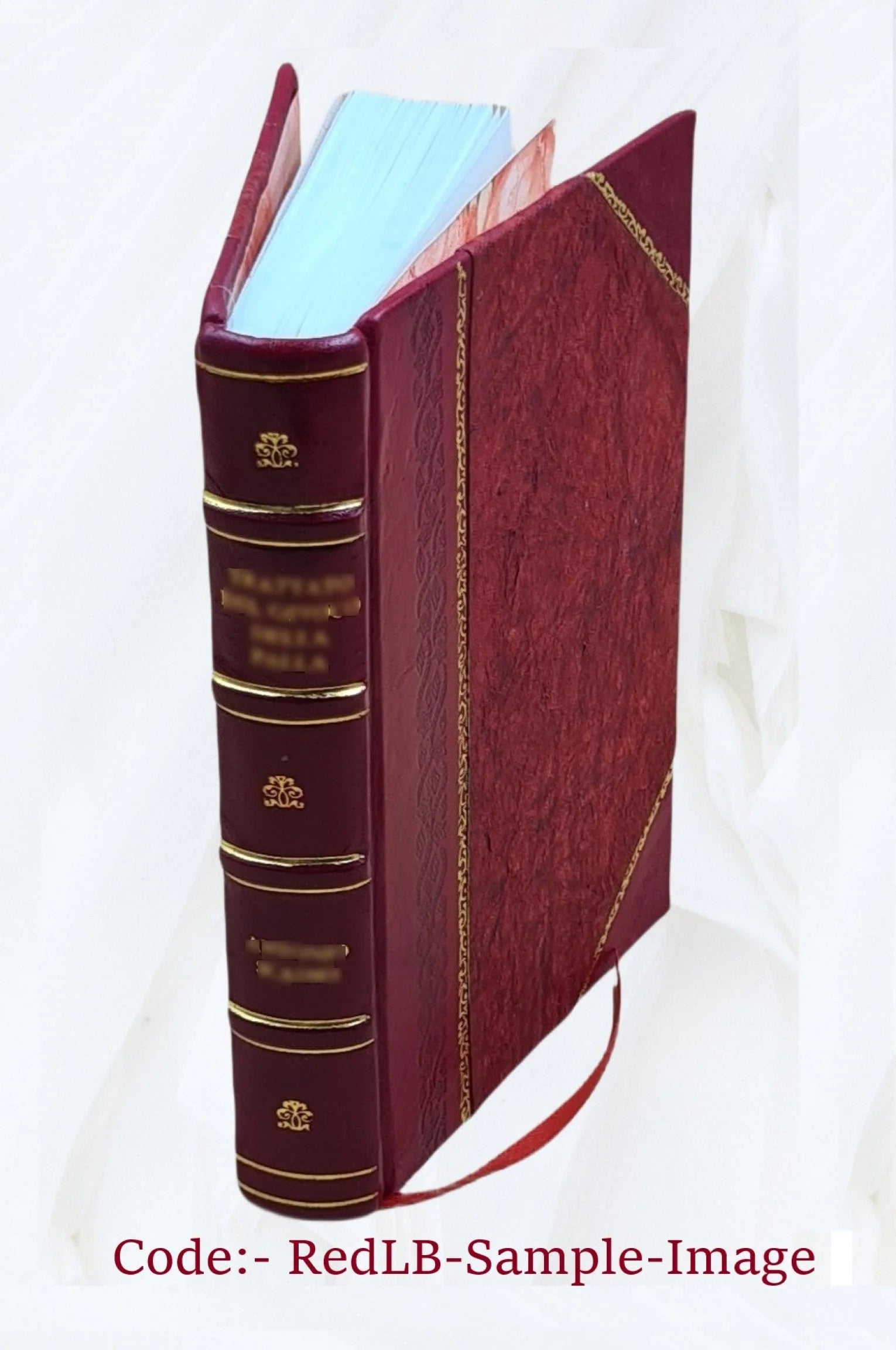 zanzibar the island metropolis of eastern africa 1920 Leather Bound Z473